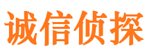 武冈市侦探调查公司